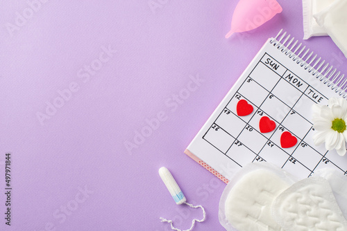 Top view photo of red heart marks on the calendar pink menstrual cup period pads tampon and camomile bud on isolated pastel violet background with copyspace photo