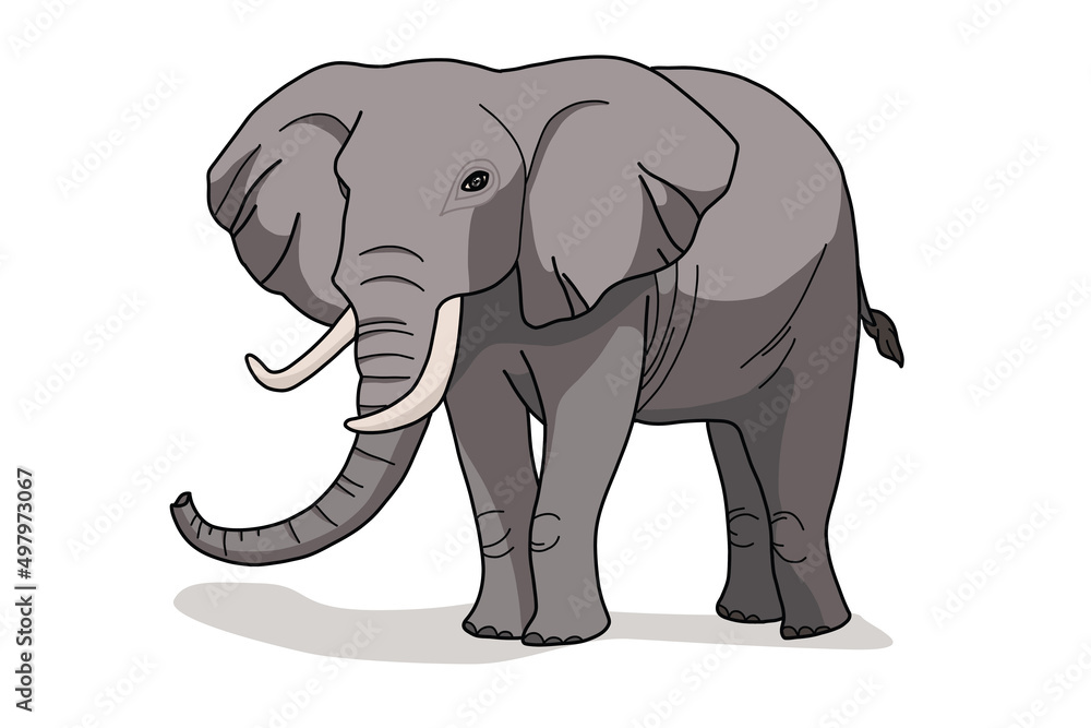 Obraz premium Elephant of wild animal living in nature with a print texture of the skin