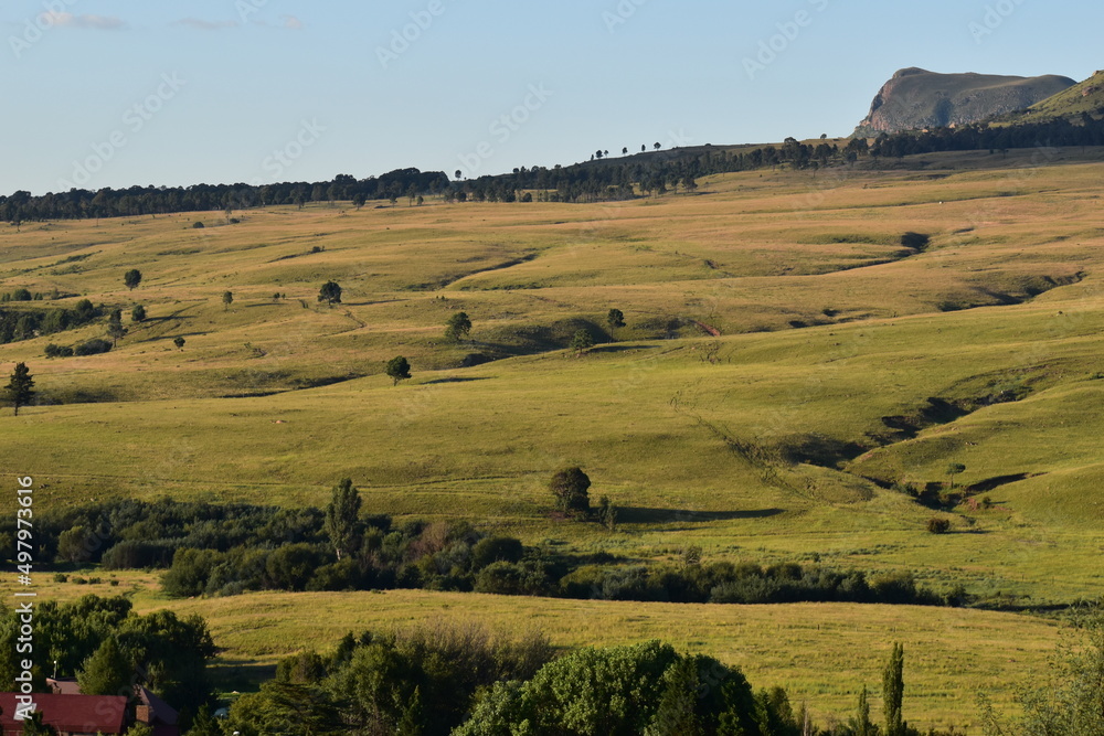 Obraz premium Grass landscape