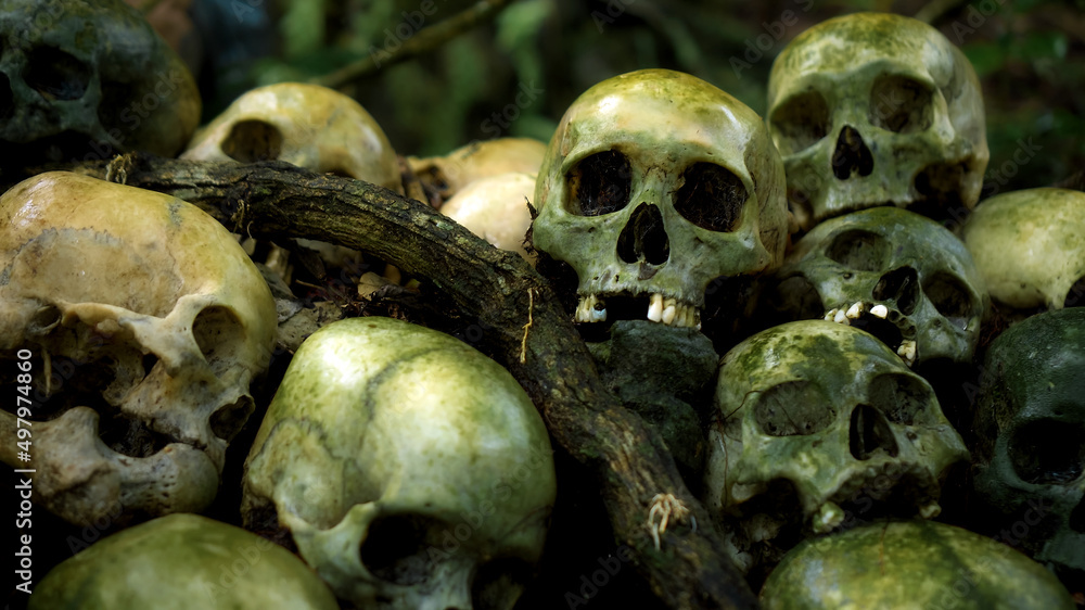 Many green human skulls and bones lying on the ground in the forest, covered in moss in an old abandoned cemetery
