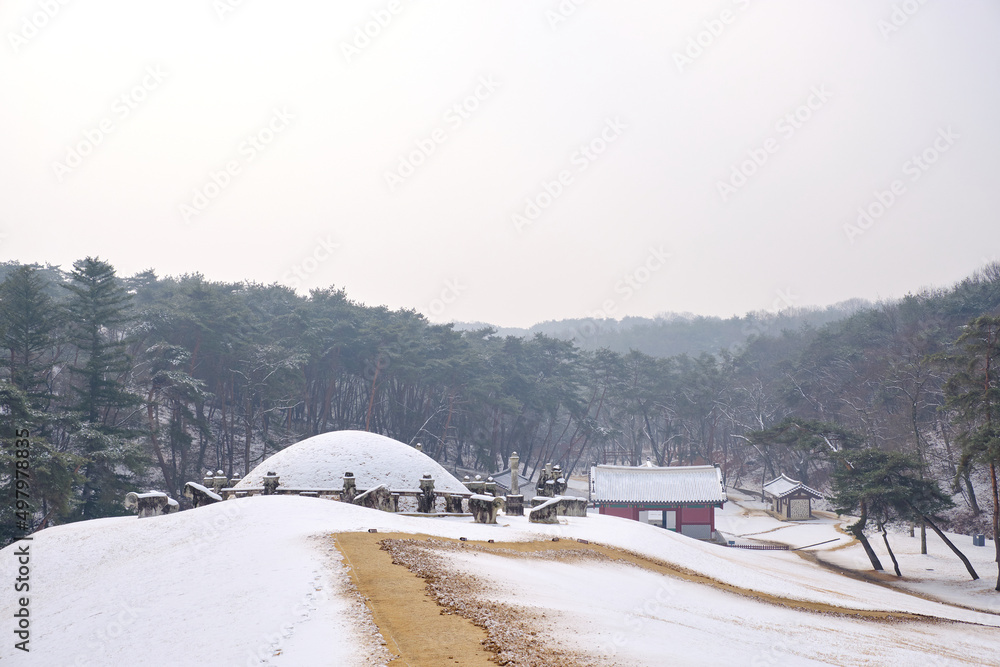 Yeongneung is the royal tomb of Joseon Dynasty.
Yeongneung is the royal tomb of Joseon Dynasty.