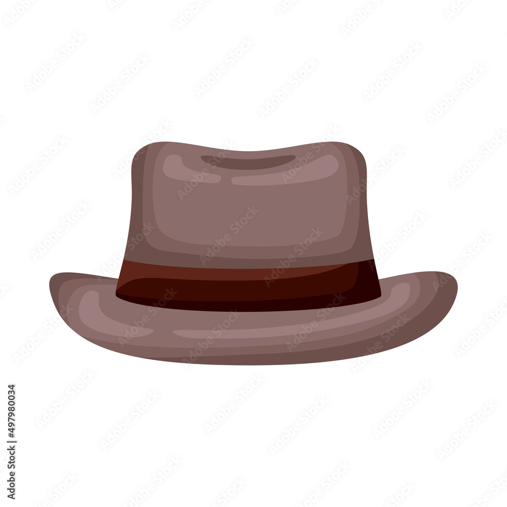 brown elegant hat brown elegant hat