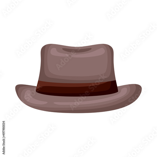 brown elegant hat