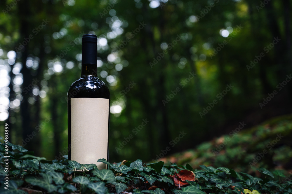Bottle of wine in a green forest, mocap