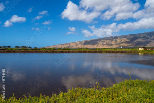 kealia pond and west maui mountains