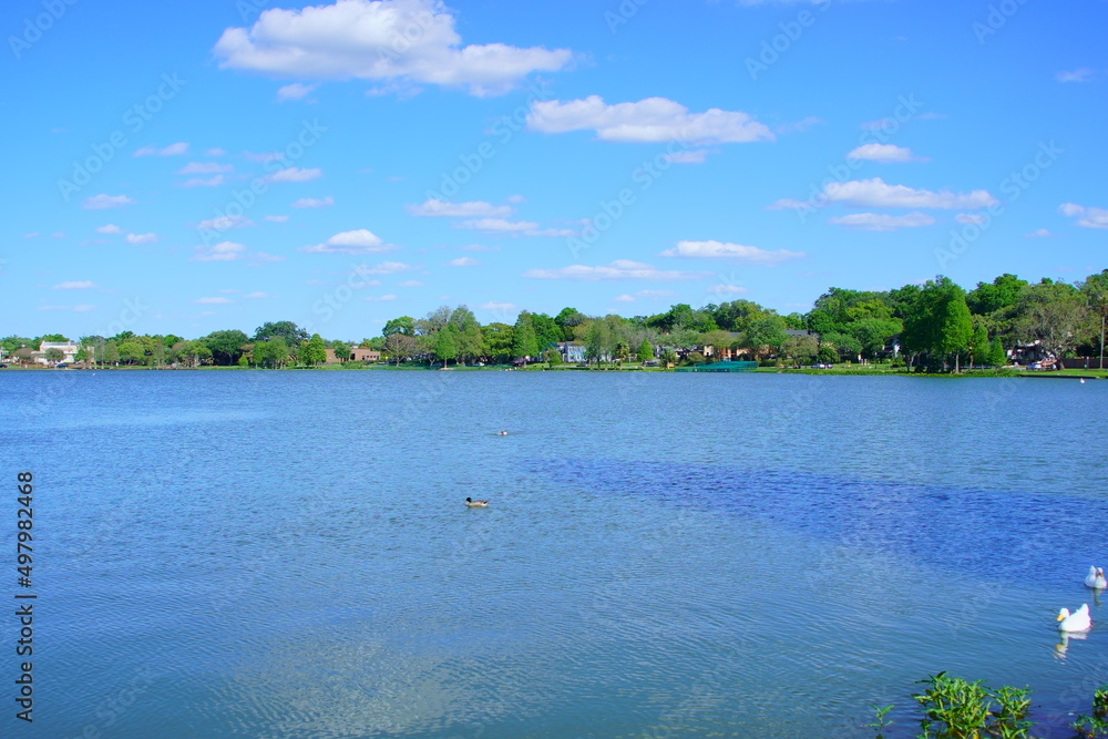 Landscape of lake Morton in city center of lakeland Florida
Landscape of lake Morton in city center of lakeland Florida