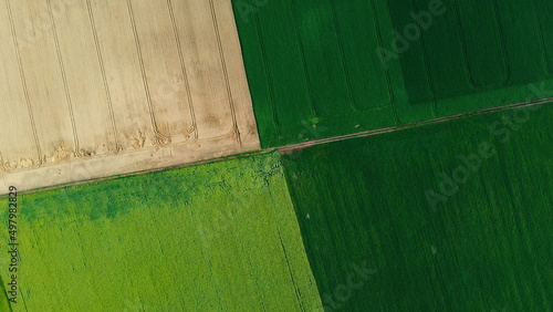 Panoramic top view parts of different agricultural fields. Yellow wheat field, yellow-green sunflower field and fields with other green agricultural plants. Dirt road between fields. Circle rotation