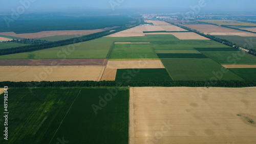 Panoramic top view of different agricultural fields. Parts of yellow wheat field and fields with other green agricultural plants. Aerial drone view. Agrarian agricultural landscape. Natural background