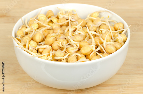 Chickpea sprouts, in a white bowl, on a bamboo board. Raw and fresh, ready to eat, sprouted chickpea seeds. Cicer arietinum, a legume and protein source, known as chick or garbanzo beans and as gram.