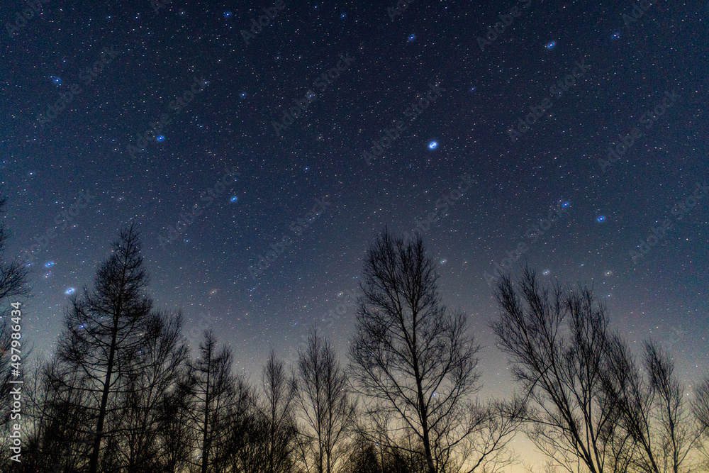 戦場ヶ原の星景 戦場ヶ原の星景