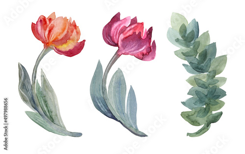 Set watercolor orange red abstract tulip with green leaves isolated on white background. Hand-drawn spring flower for celebration march 8. Clipart for wallpaper wrapping sticker  sketchbook florist