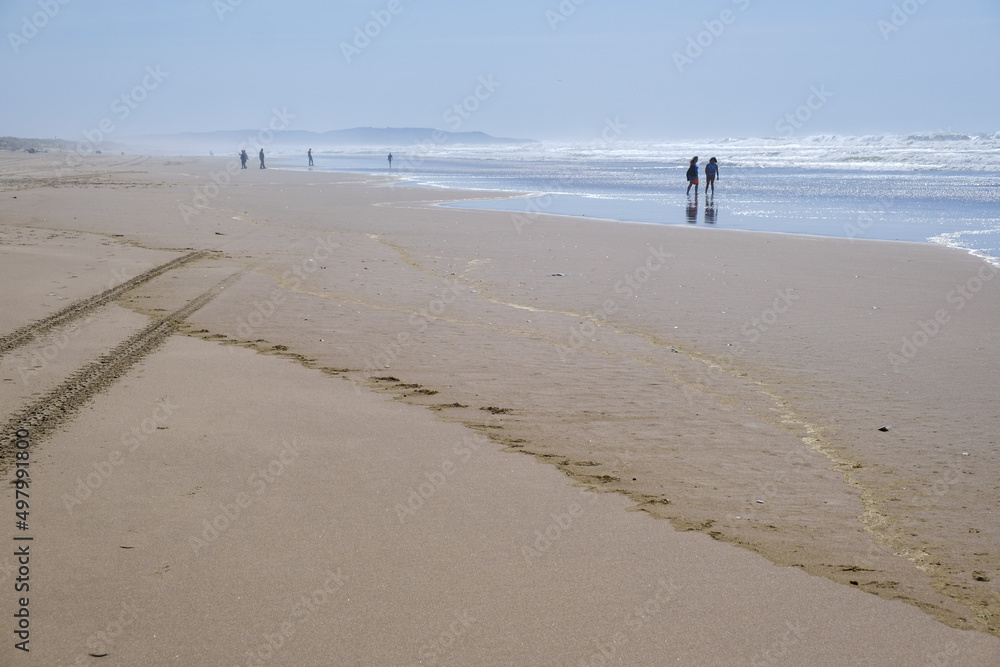People walking and playing on the beach with tire tracks across the sand People walking and playing on the beach with tire tracks across the sand