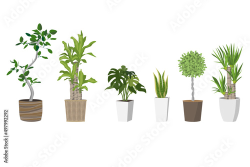 観葉植物のセット