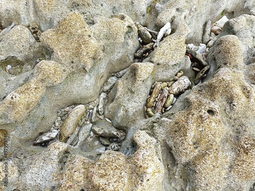 Tumbled pieces of broken coral caught among the hollows of eroded remnants of a dead coral reef in Bali Indonesia