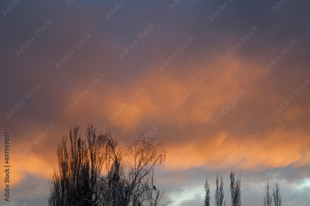 Obraz premium fire in the sky