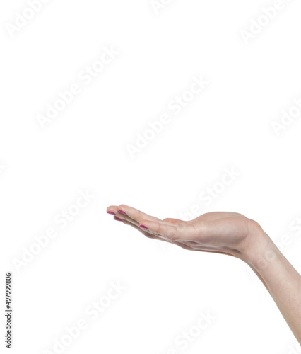 Close up woman hand holding something like a bottle or can isolated on white background with clipping path.