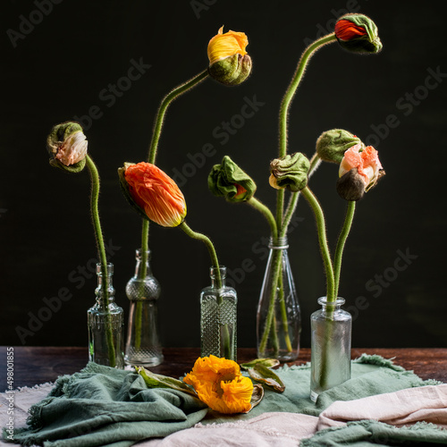 Mohnblume in kleinen Vasen, Islandmohn dekoriert
 photo