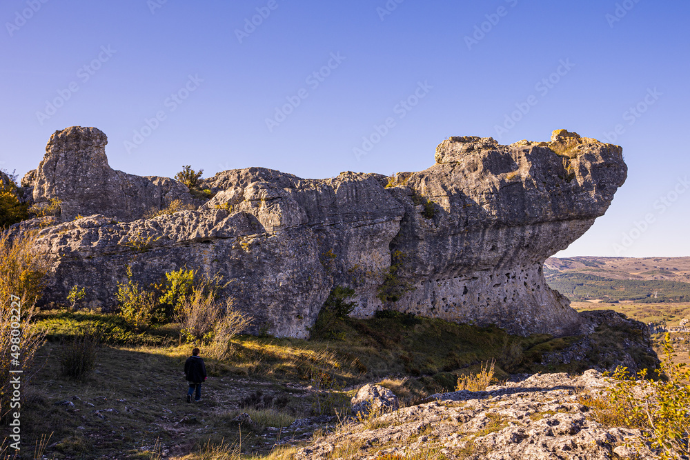 Obraz premium Las Tuerces