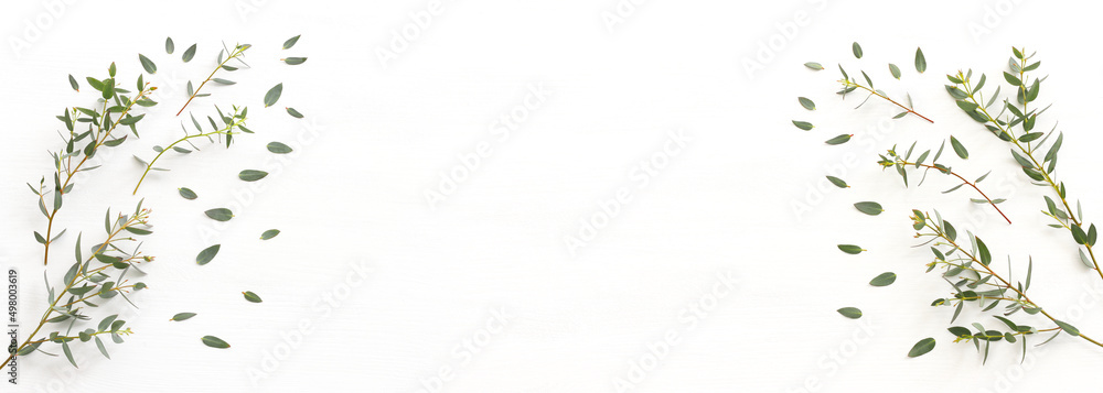 Top view image of eucalyptus over wooden white background. Flat lay Top view image of eucalyptus over wooden white background. Flat lay