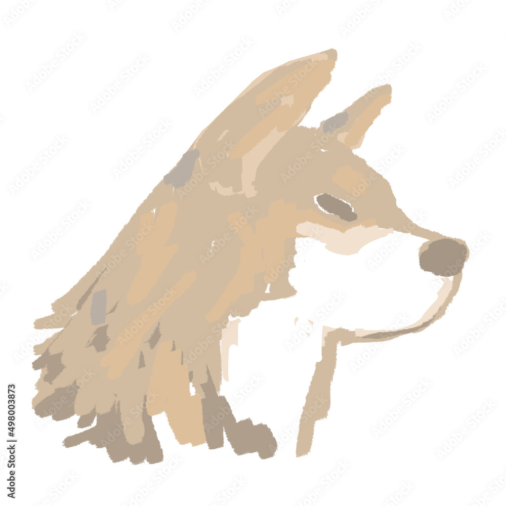 柴犬の横顔 Stock イラスト | Adobe Stock