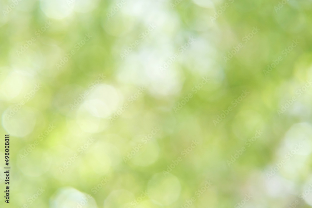 Bokeh circle with green sparkles background. Grass glitter backdrop. Tree texture. New year luxury snow. Copyspace. Shimmer confetti wallpaper. Dreamy shiny design detail Bokeh circle with green sparkles background. Grass glitter backdrop. Tree texture. New year luxury snow. Copyspace. Shimmer confetti wallpaper. Dreamy shiny design detail