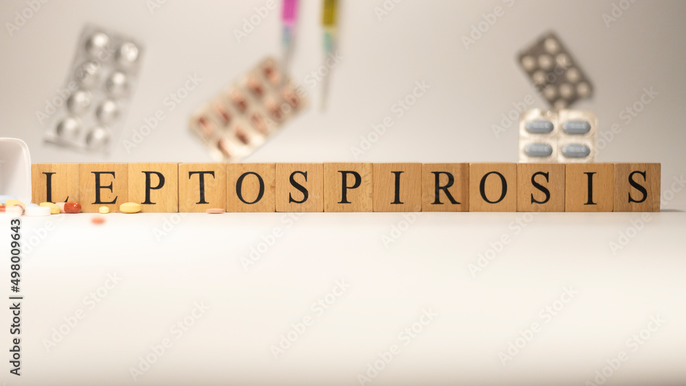 Leptospirosis disease. It was created from wooden cubes. Disease and miscellaneous. Leptospirosis disease. It was created from wooden cubes. Disease and miscellaneous.