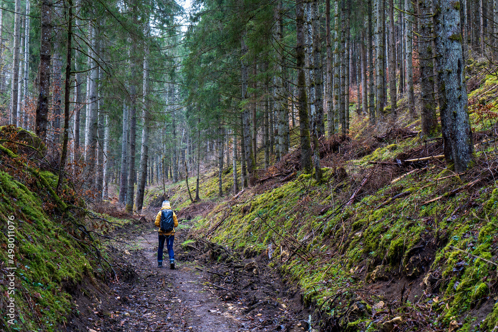 Wandern im Donautal Wandern im Donautal