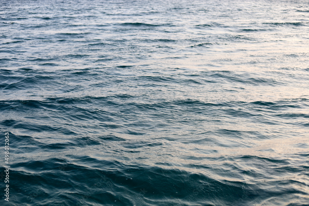 Fototapeta premium Close-up Sea surface and small fish for background.