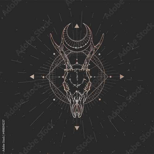 Vector illustration with hand drawn Roe deer skull and Sacred geometric symbol on black vintage background.