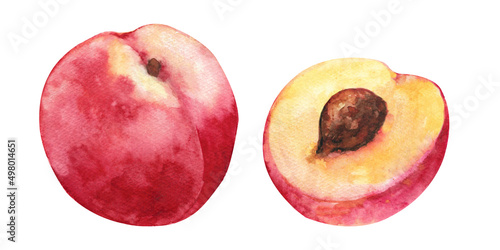 Watercolor peach. Ripe pink peach cut in half