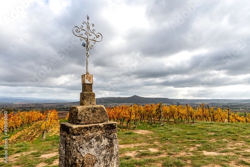 Croix de pierre et de métal entourée de vignes au milieu du vignoble de boudes sur le chemin de randonnée de la vallée des saints dans le puy de dôme photo