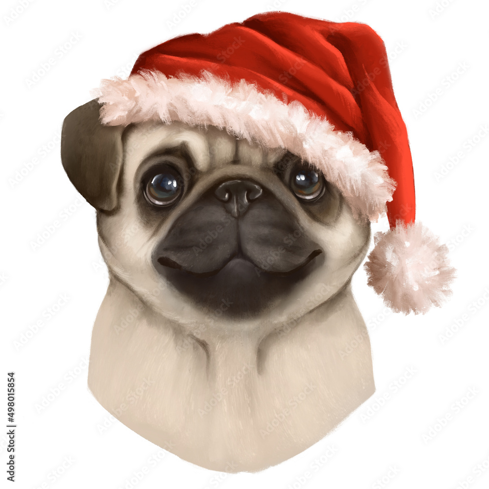 Cute pug in Santa hat. Christmas pug dog portrait ilustracion de Stock Adobe Stock