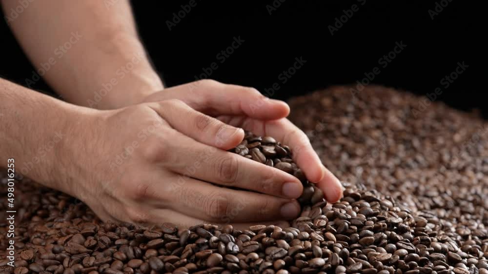 Hands scooping up roasted coffee beans. Freshly roasted aromatic strong dark brown coffee beans scooped up above a large pile of fresh beans. Slow motion. Hands scooping up roasted coffee beans. Freshly roasted aromatic strong dark brown coffee beans scooped up above a large pile of fresh beans. Slow motion.