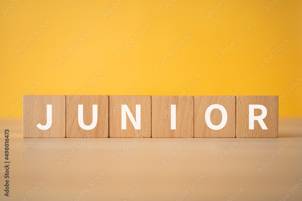 「JUNIOR」と書かれた積み木