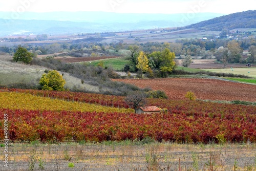 Panorama sur le vignoble de Boudes dans le puy de dôme avec ces ceps de vigne colorés de rouge et d'orange par une journée d'automne photo
