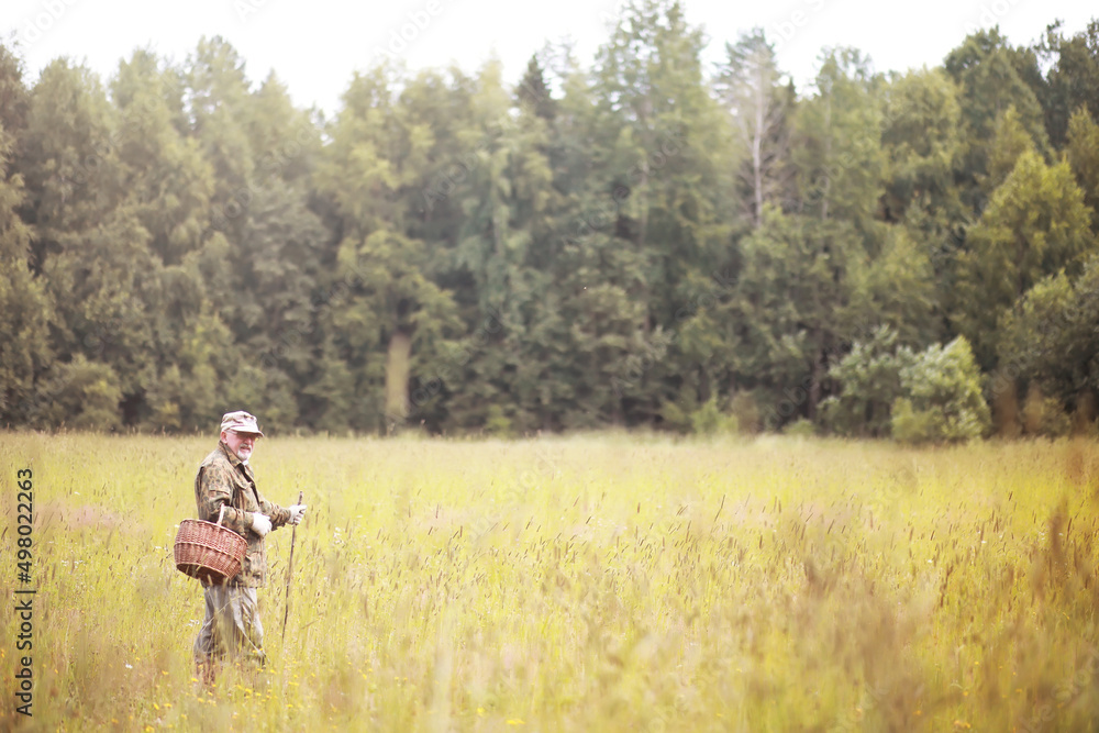 A man walks across the field into the forest for mushrooms. The mushroom picker goes to the forest. A man walks across the field into the forest for mushrooms. The mushroom picker goes to the forest.