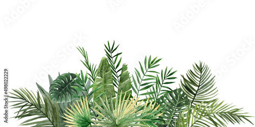 Green palm leaves horizontal banner. Tropical twigs, branches. Jungle florals. Watercolor free-hand illustration for postcard, invitation, event flyer, poster, presentation, menu, lifestyle