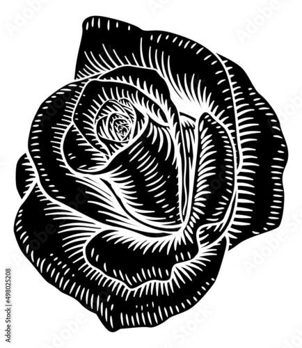 Rose Flower Vintage Woodcut...