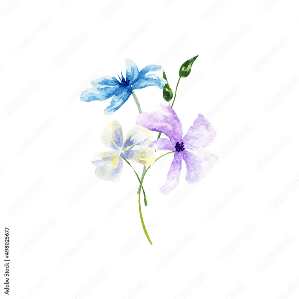 Fototapeta premium Decoration isolated on white background, bouquet of wild composition.Watercolor bouquet of spring flowers.For Mother's Day, wedding, birthday, Easter, Valentine's Day.