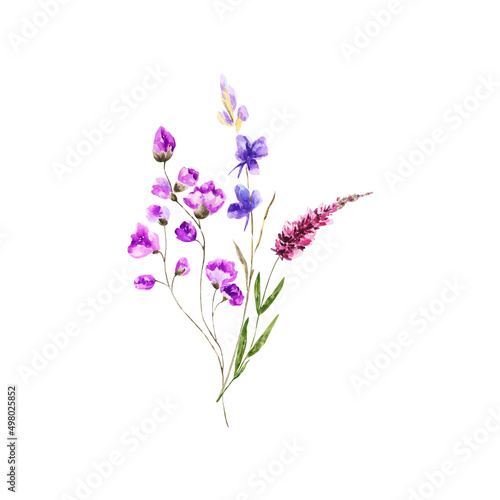 Decoration isolated on white background, bouquet of wild composition.Watercolor bouquet of spring flowers.For Mother's Day, wedding, birthday, Easter, Valentine's Day.