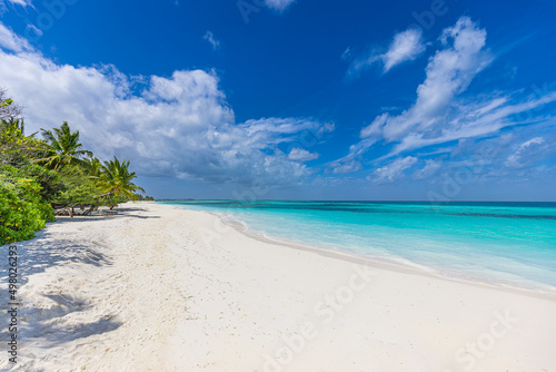 Fototapeta Naklejka Na Ścianę i Meble -  Maldives island beach. Tropical landscape of summer scenery, white sand with palm trees. Luxury travel vacation destination. Exotic beach landscape. Amazing nature, relax, freedom nature template