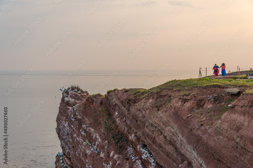 View over red sandstone cliffs in island Helgoland at Northern Sea with tourists bird watching, Germany, summer, sunset colors.