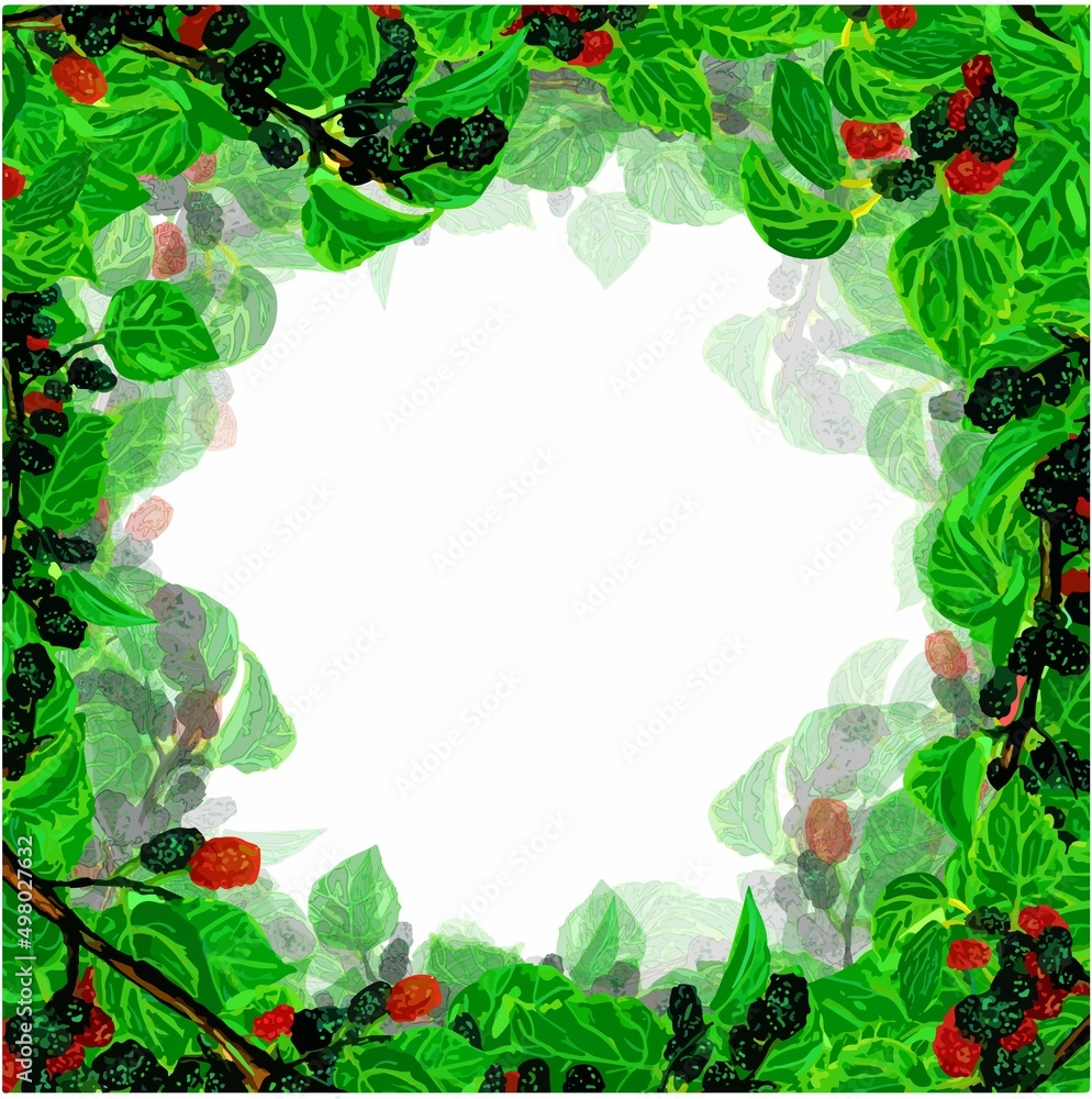 frame of sweet black and red mulberries with green leaves on a twig, on a white background for your design