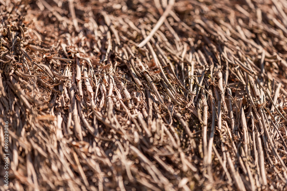 old thatched roof close-up as a background old thatched roof close-up as a background