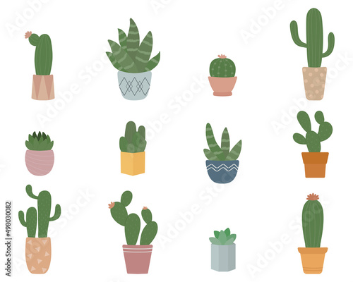 Cute cactus plant in pots. Indoor plants in a flat style. Vector illustration set.