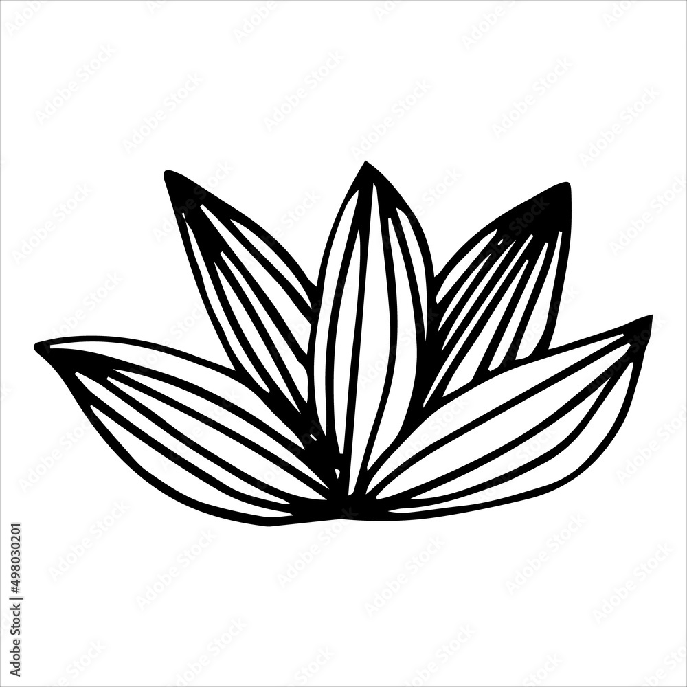 Vector black and white image of a grass bush. Vector black and white image of a grass bush.