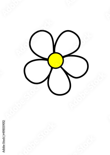 flower on white background