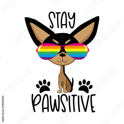 Stay pawsitive - motivational slogan with cool chihuahua dog in ranbow color sunglasses.