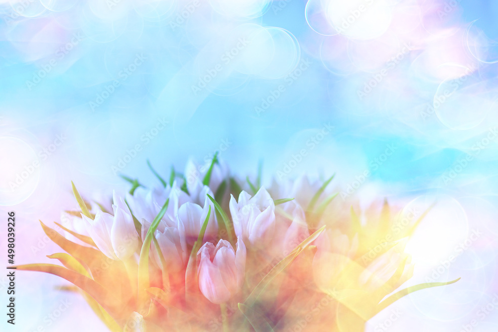 spring bouquet of tulips in the interior tenderness mother's day spring bouquet of tulips in the interior tenderness mother's day