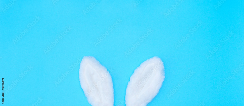 White Easter bunny ears on blue background. Happy Easter minimalism concept. Flat lay style with copy space